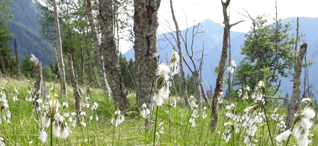 Unterreinischhof Villa Anterselva di Mezzo Esterno foto