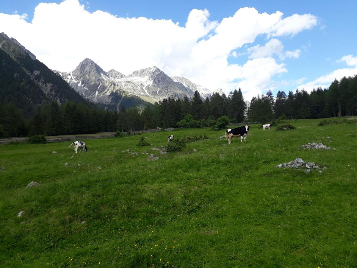 Unterreinischhof Villa Anterselva di Mezzo Esterno foto