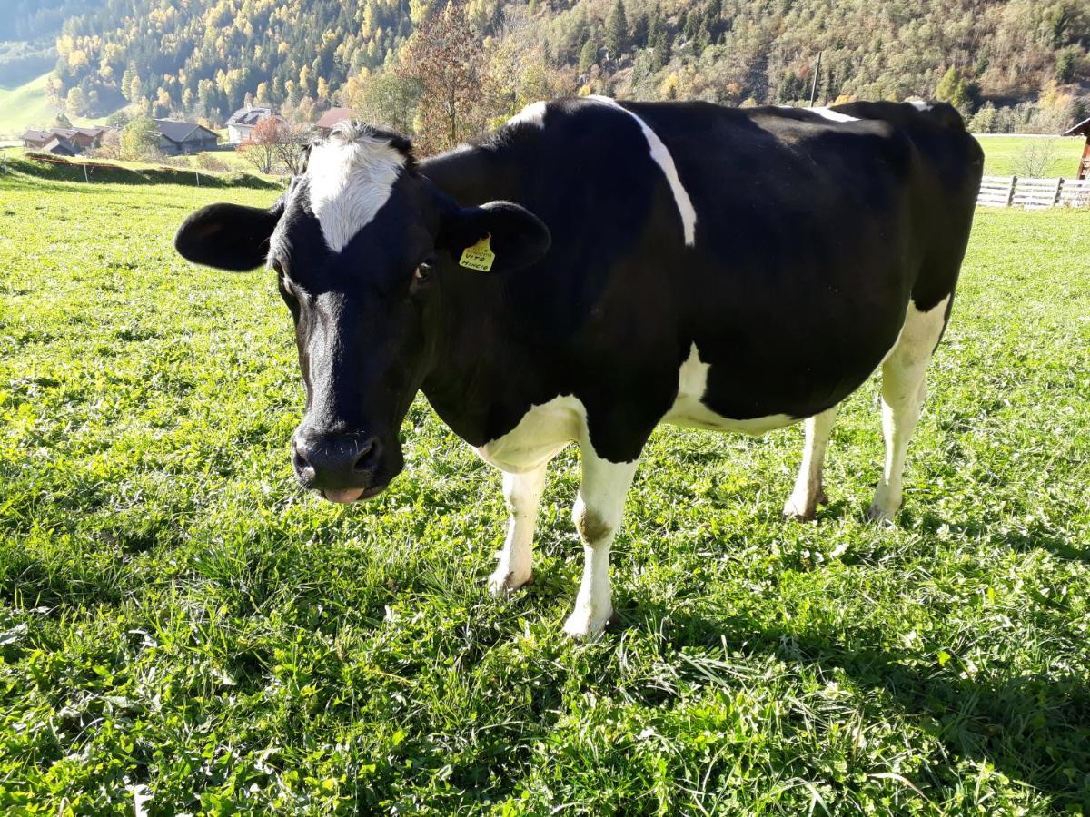 Unterreinischhof Villa Anterselva di Mezzo Esterno foto