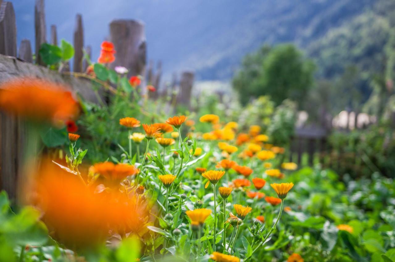 Unterreinischhof Villa Anterselva di Mezzo Esterno foto